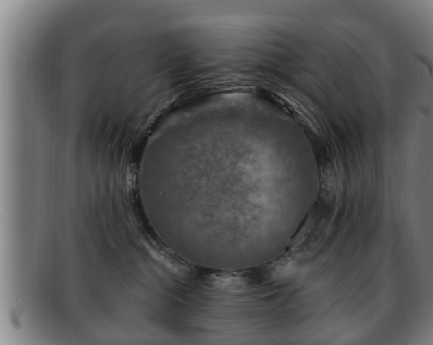 X0000091850284200709121316