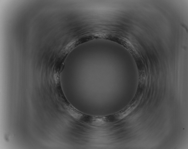 X0000091850285200709121316