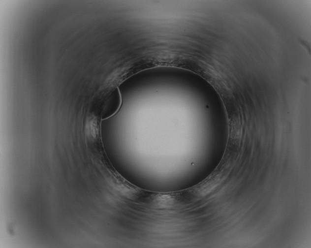 X0000091850287200709121316