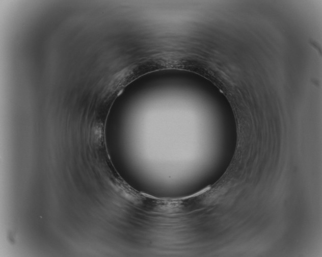 X0000091850288200709121316