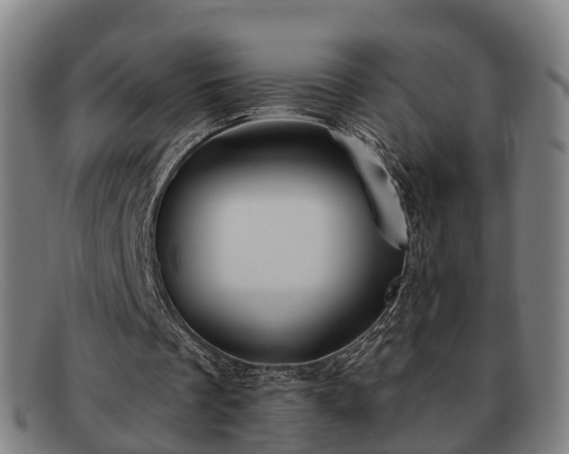 X0000091850289200709121316