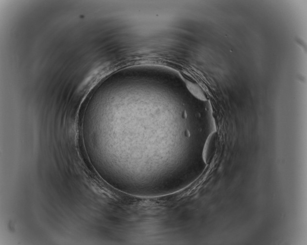 X0000091850290200709121316
