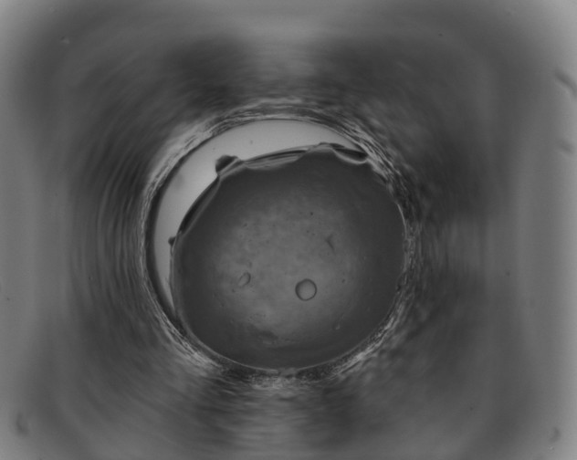 X0000091850293200709121316
