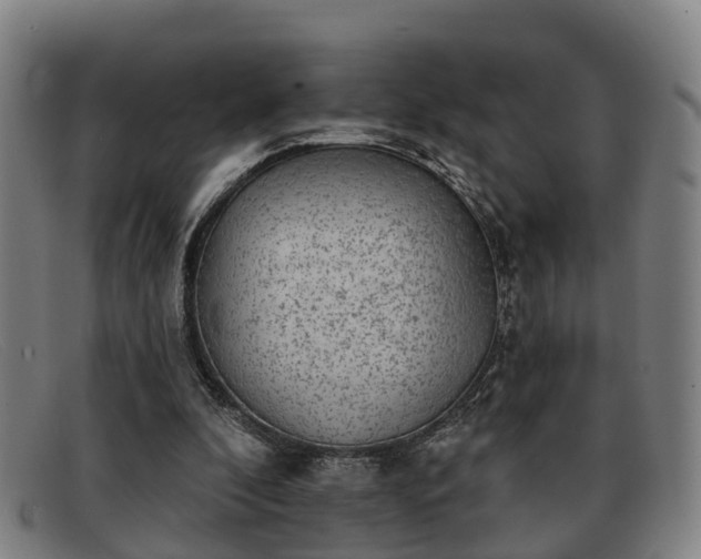X0000091850296200709121316