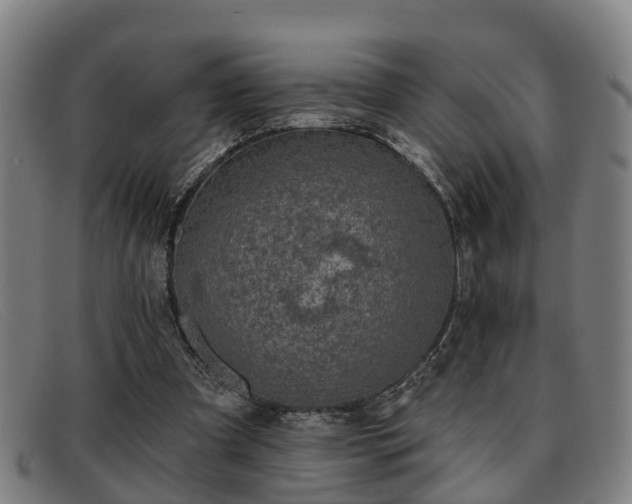 X0000091850297200709121316