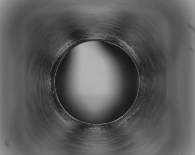 X0000091850298200709121316