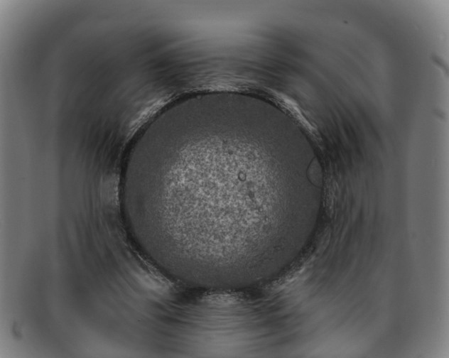 X0000091850299200709121316