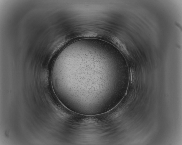 X0000091850300200709121316