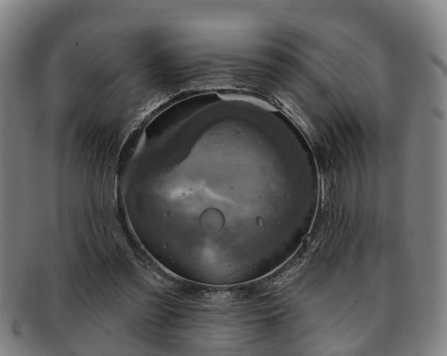 X0000091850301200709121316