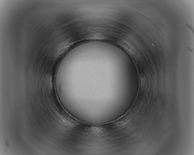 X0000091850302200709121316