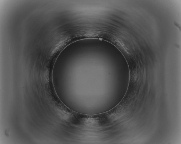X0000091850303200709121316