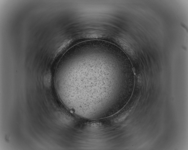 X0000091850304200709121316