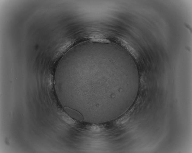 X0000091850305200709121315