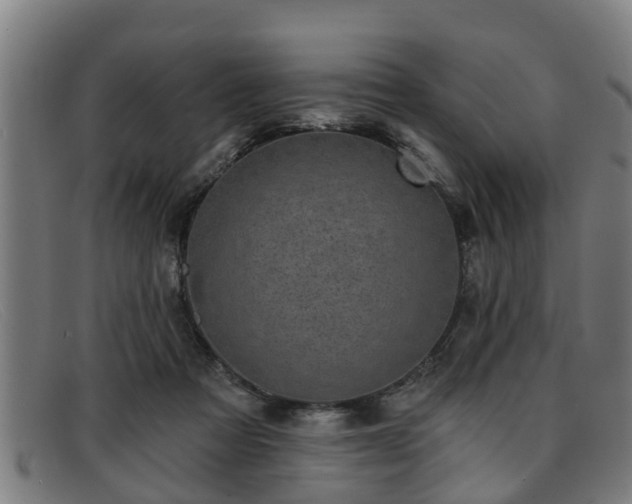 X0000091850313200709121315