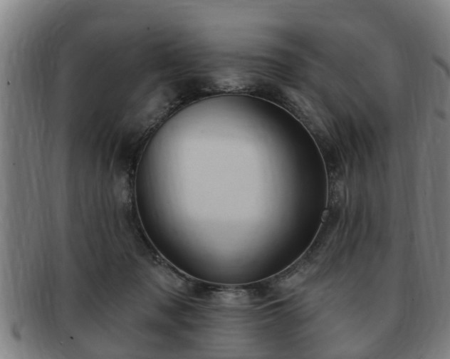 X0000091850317200709121315