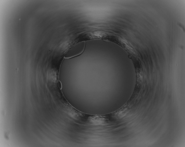 X0000091850331200709121315