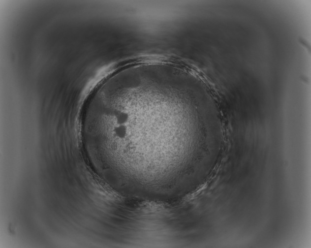 X0000091850343200709121315