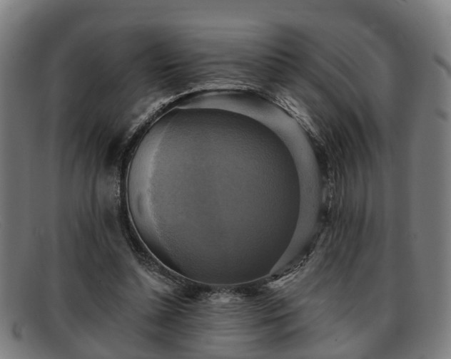 X0000091850348200709121315