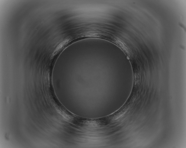 X0000091850349200709121315
