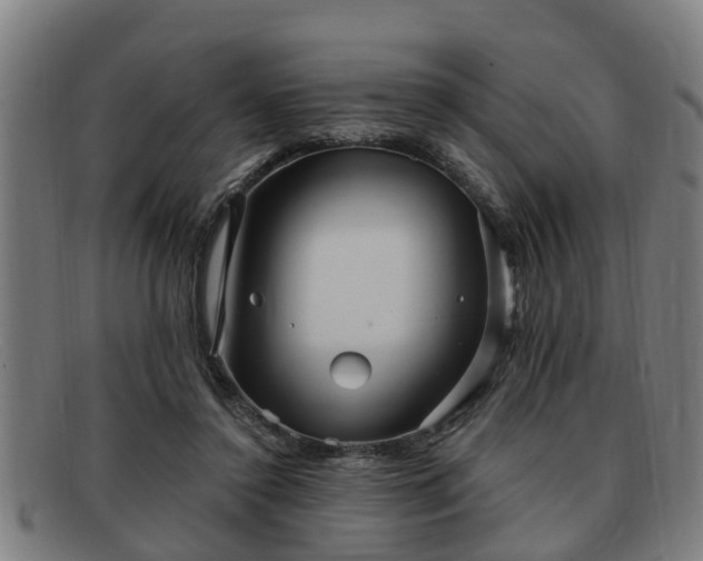X0000091850356200709121315