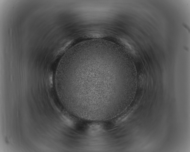 X0000091850358200709121315