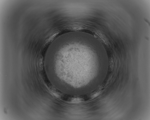 X0000091850360200709121315