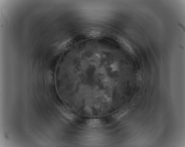 X0000091850361200709121315