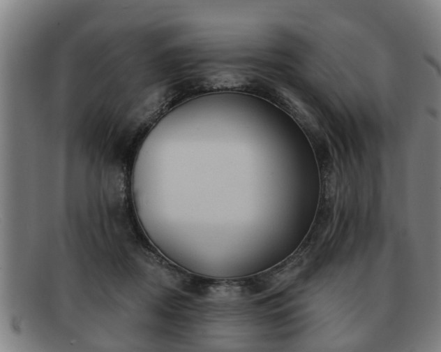 X0000091850362200709121315