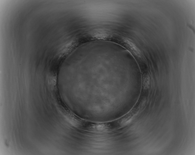X0000091850365200709121315