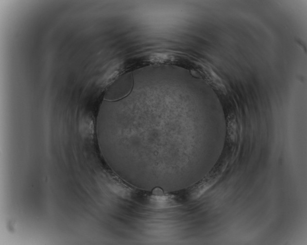 X0000091850375200709121315