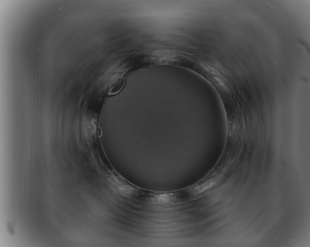 X0000091850382200709121315