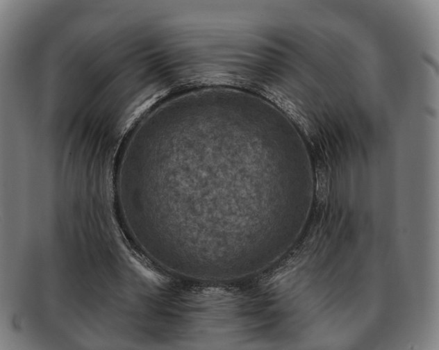 X0000091850390200709121314