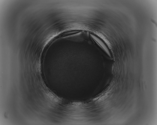 X0000091850391200709121314