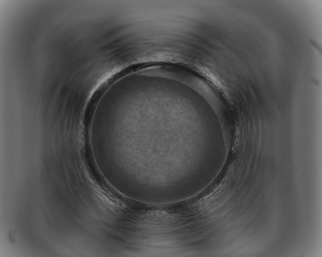 X0000091850392200709121314