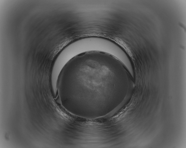 X0000091850393200709121314