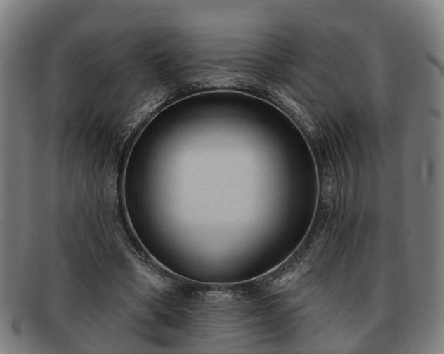 X0000091850394200709121314
