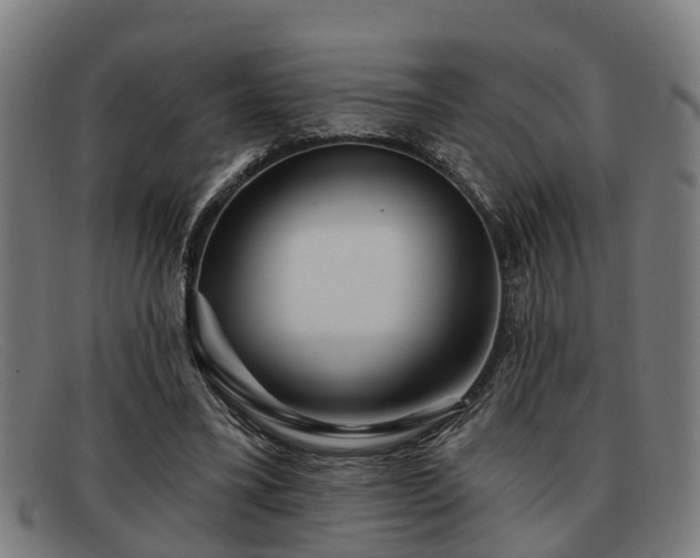 X0000091850395200709121314