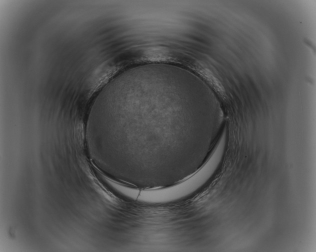 X0000091850397200709121314