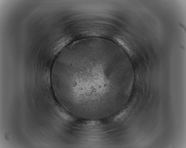 X0000091850398200709121314