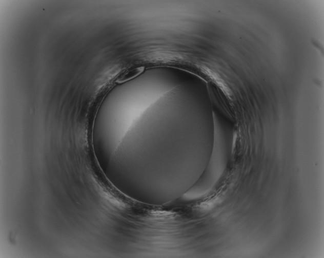 X0000091850399200709121314