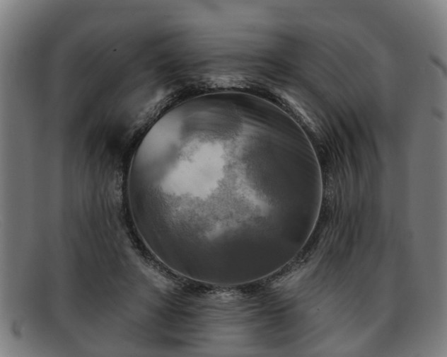 X0000091850402200709121314