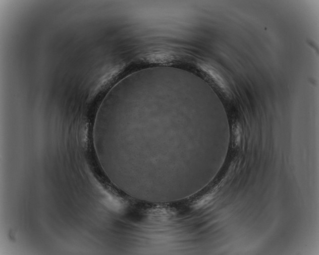 X0000091850404200709121314