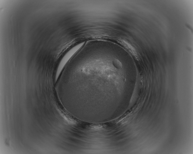 X0000091850405200709121314