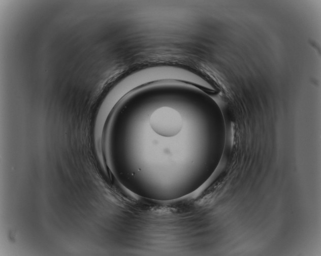 X0000091850407200709121314
