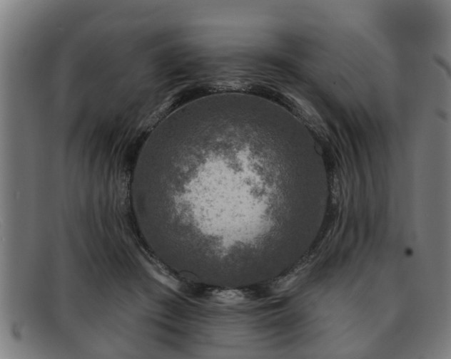 X0000091850409200709121314
