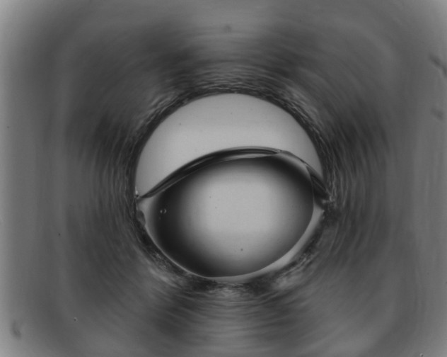 X0000091850412200709121314