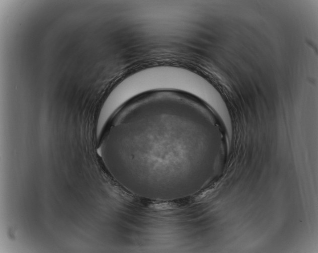 X0000091850417200709121314
