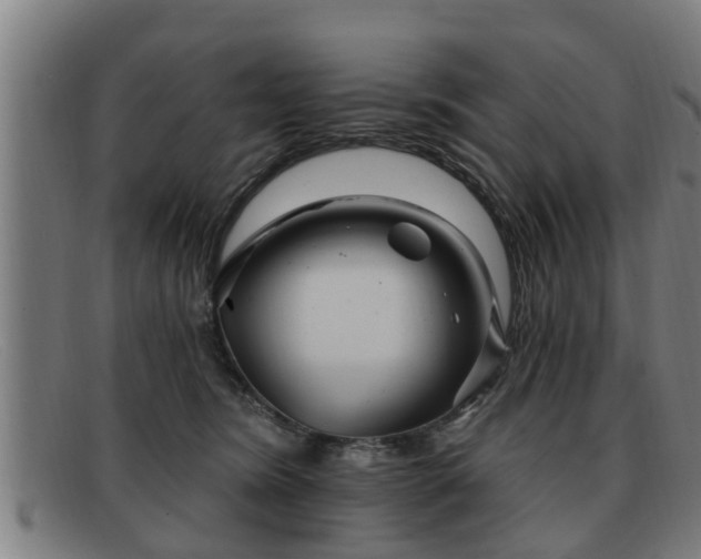 X0000091850420200709121314