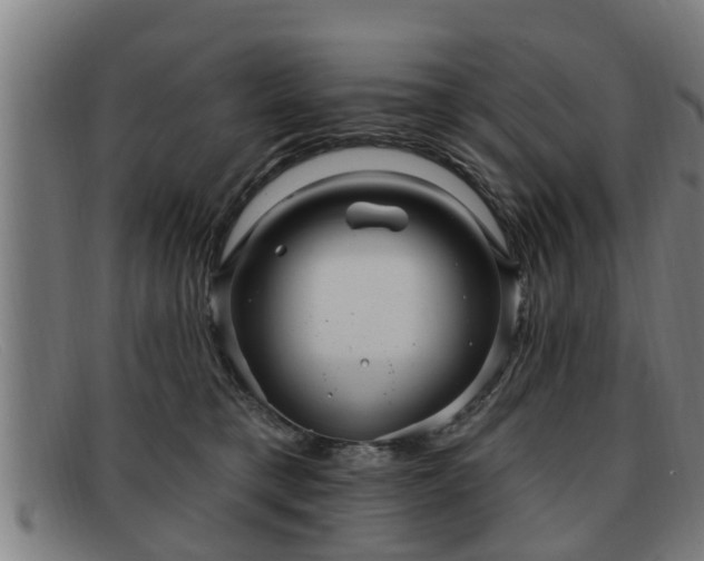 X0000091850421200709121314