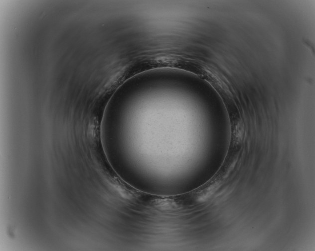 X0000091850424200709121314